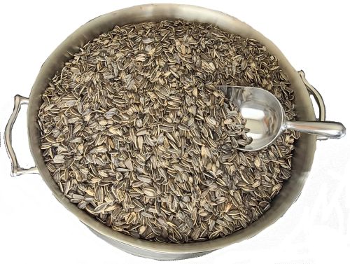 black sunflower seeds roasted and salted, 20-lb. bag for bulk sale